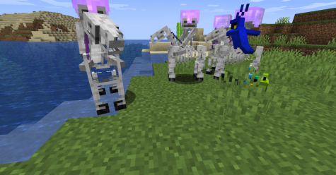 Detail Minecraft Skeleton Trap Horse Nomer 56