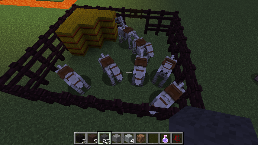 Detail Minecraft Skeleton Trap Horse Nomer 58