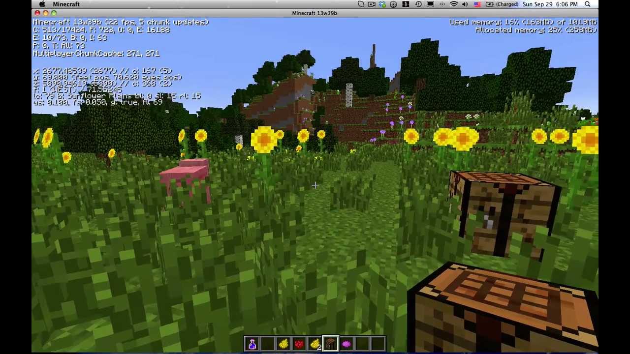 Detail Minecraft Sunflower Seeds Nomer 5