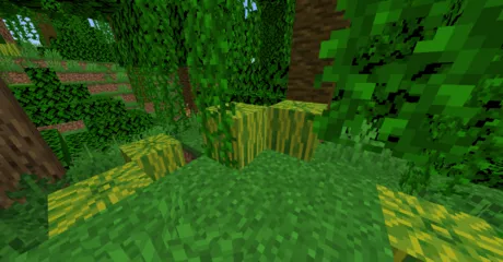 Detail Minecraft Watermelon Seeds Nomer 25