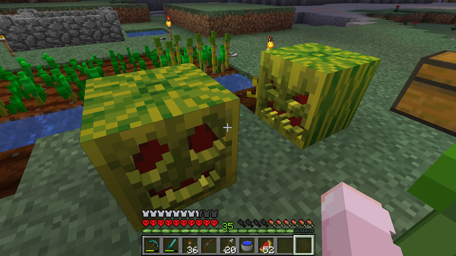 Detail Minecraft Watermelon Seeds Nomer 29