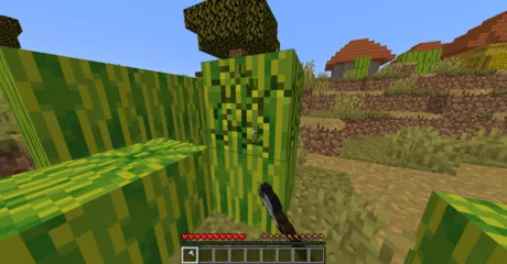 Detail Minecraft Watermelon Seeds Nomer 8