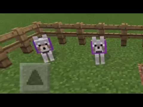 Detail Minecraft Wolf Collar Color Nomer 13