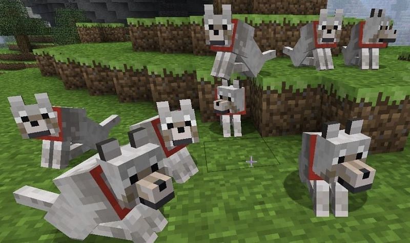 Detail Minecraft Wolf Collar Color Nomer 45