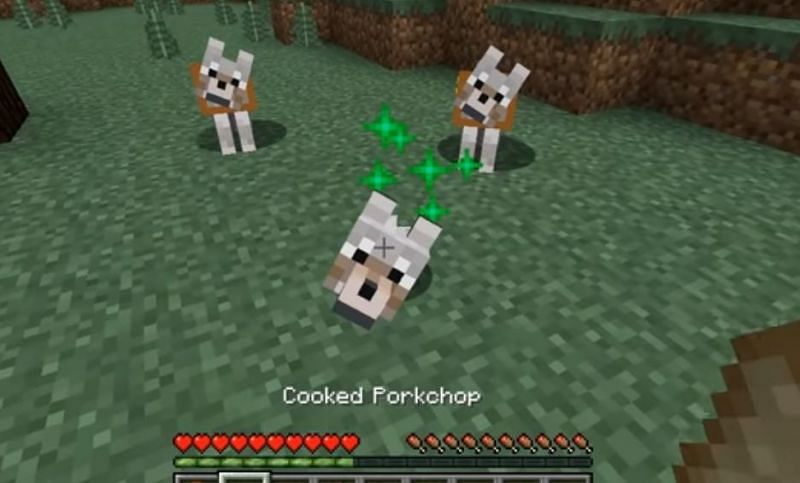 Download Minecraft Wolf Collar Color Nomer 56