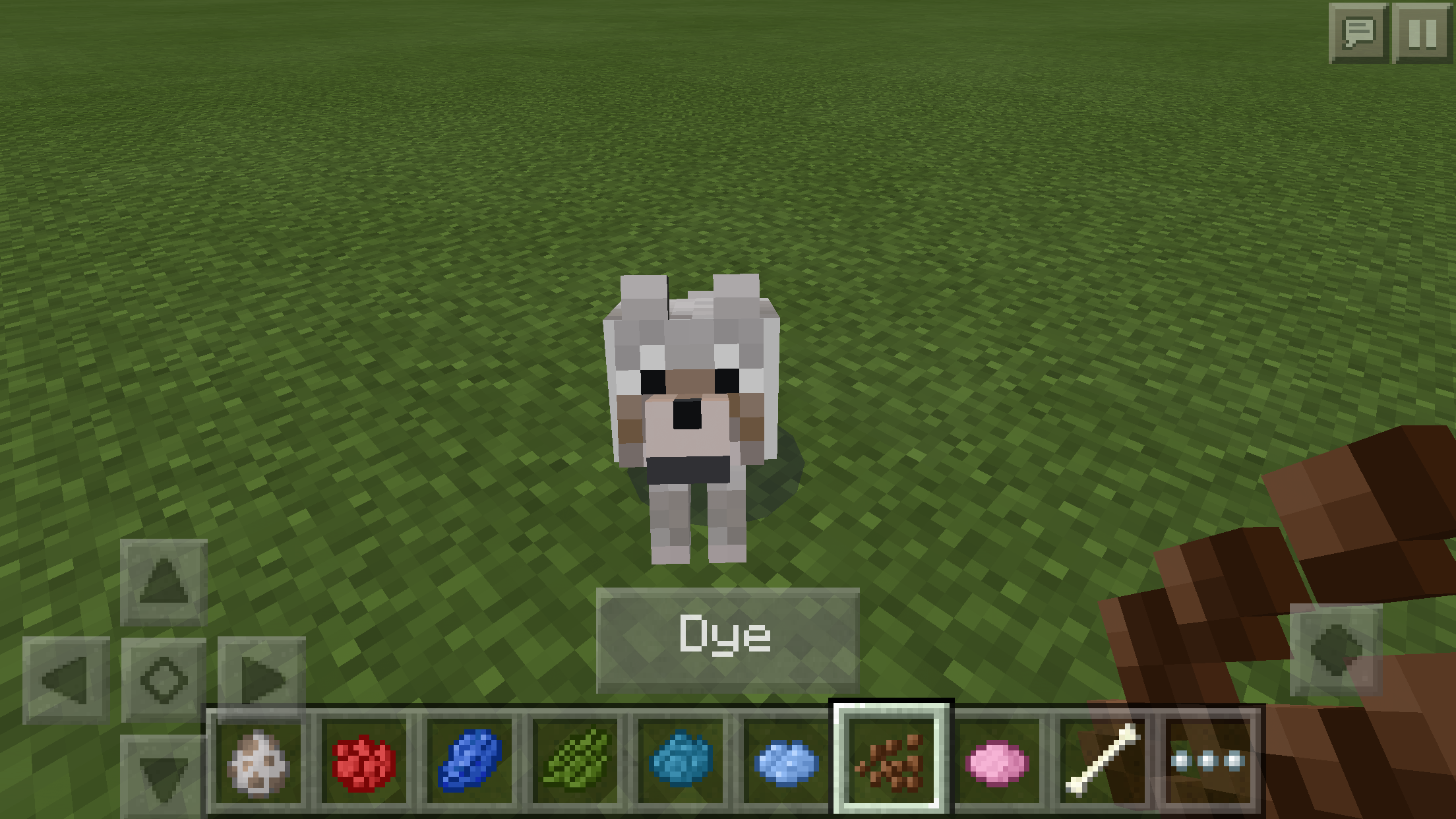 Detail Minecraft Wolf Collar Color Nomer 9