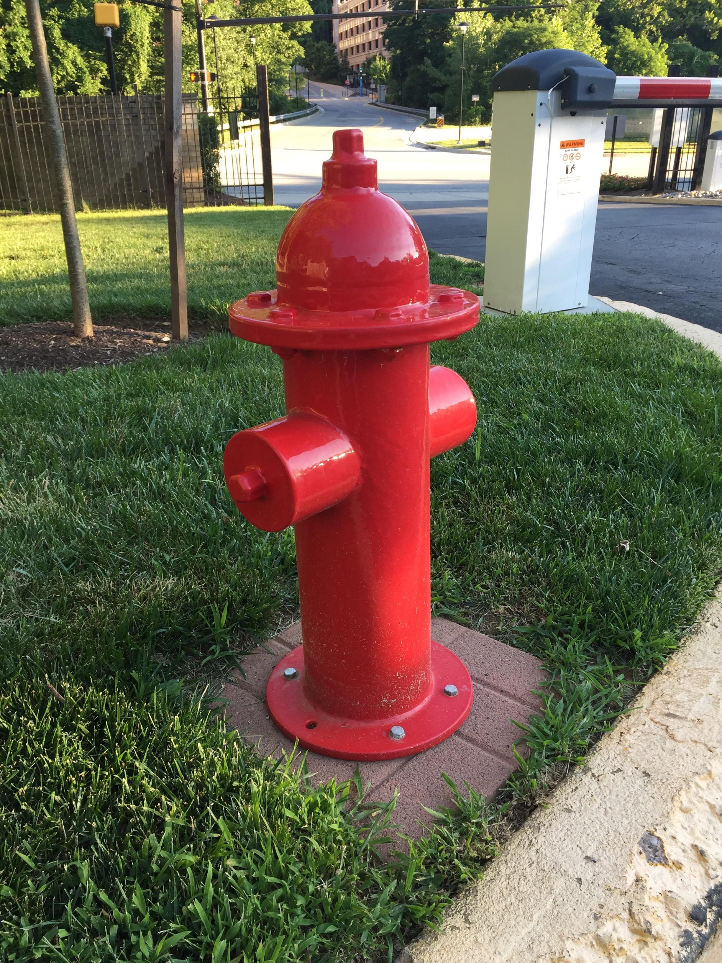 Detail Mini Fire Hydrant For Dogs Nomer 12