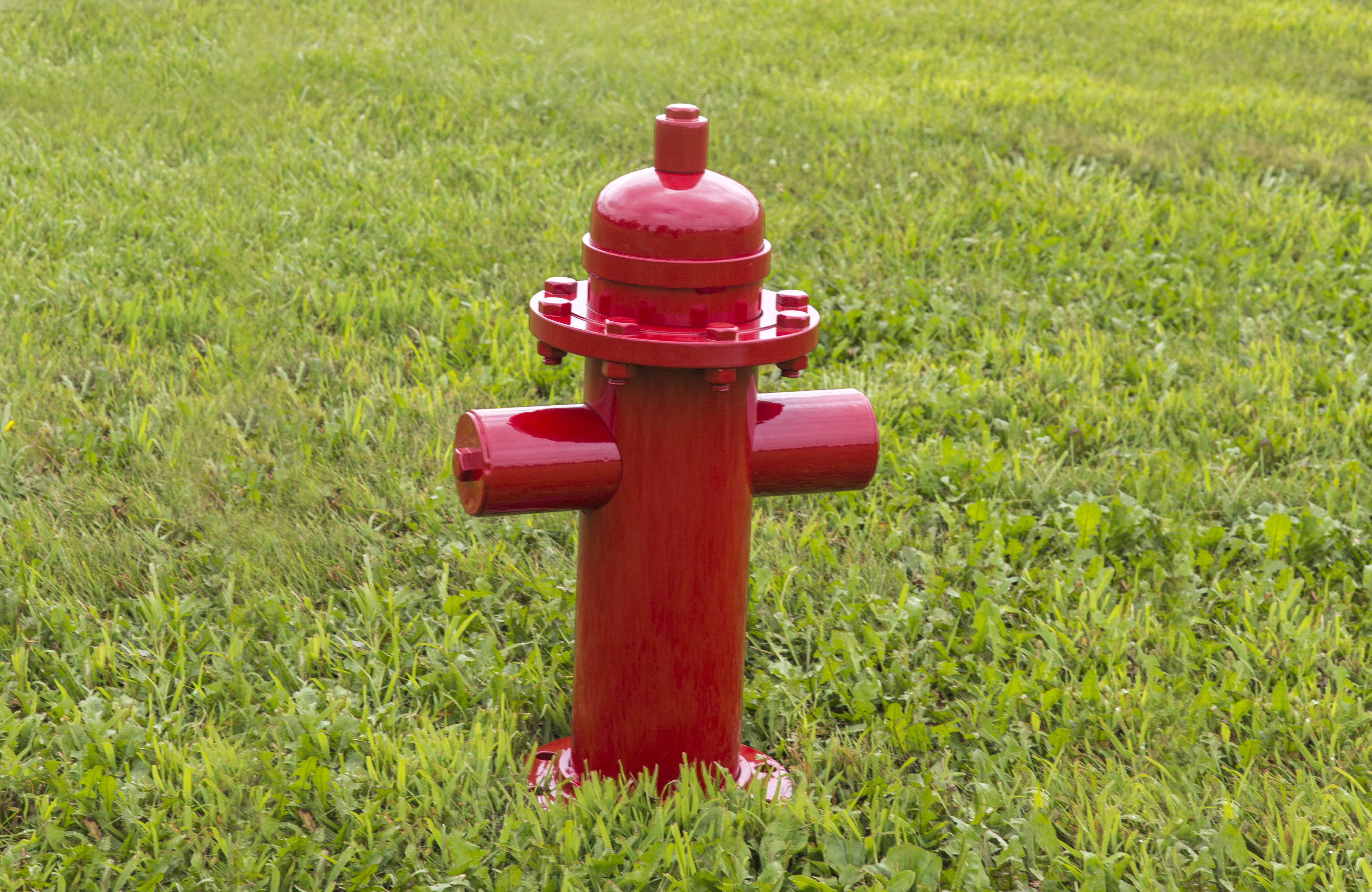 Detail Mini Fire Hydrant For Dogs Nomer 37