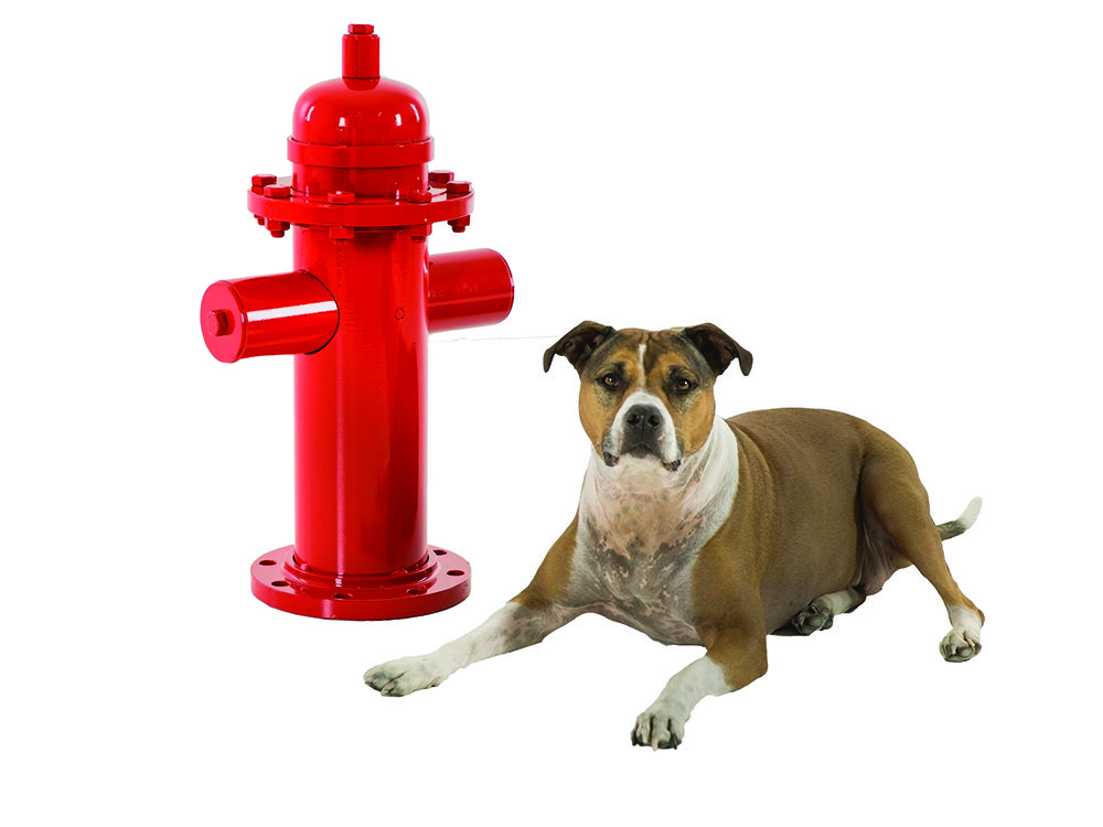 Detail Mini Fire Hydrant For Dogs Nomer 7