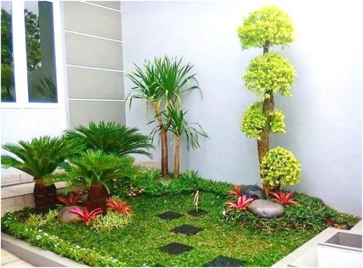 Detail Mini Garden Depan Rumah Nomer 2