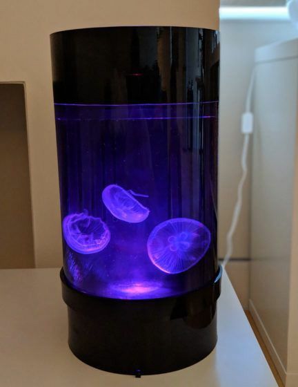Detail Mini Jellyfish Lamp Nomer 34