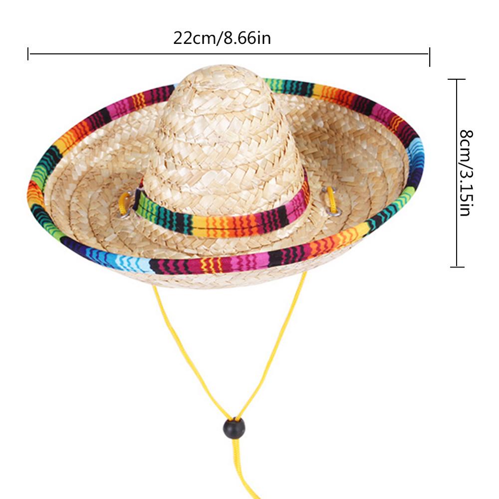 Detail Mini Plastic Sombrero Hats Nomer 22