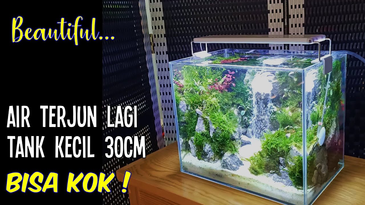 Detail Miniatur Air Terjun Aquascape Nomer 43