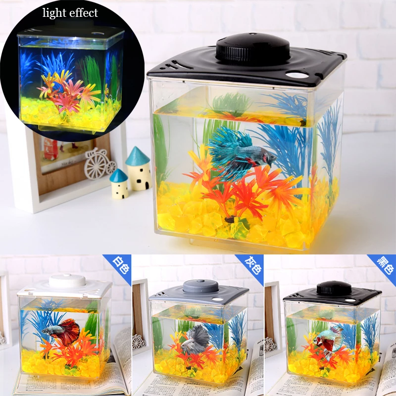 Detail Miniatur Aquarium Nomer 32