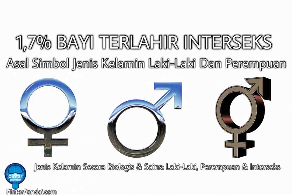 Detail Lambang Laki Laki Dan Perempuan Nomer 4