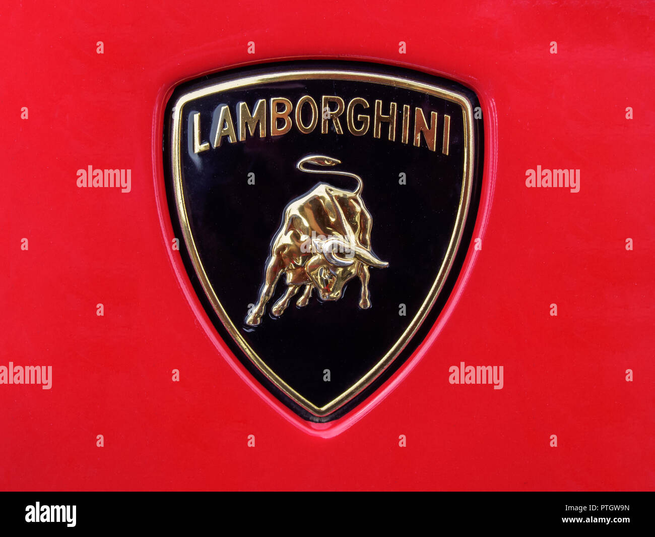 Detail Lambang Lamborghini Nomer 32
