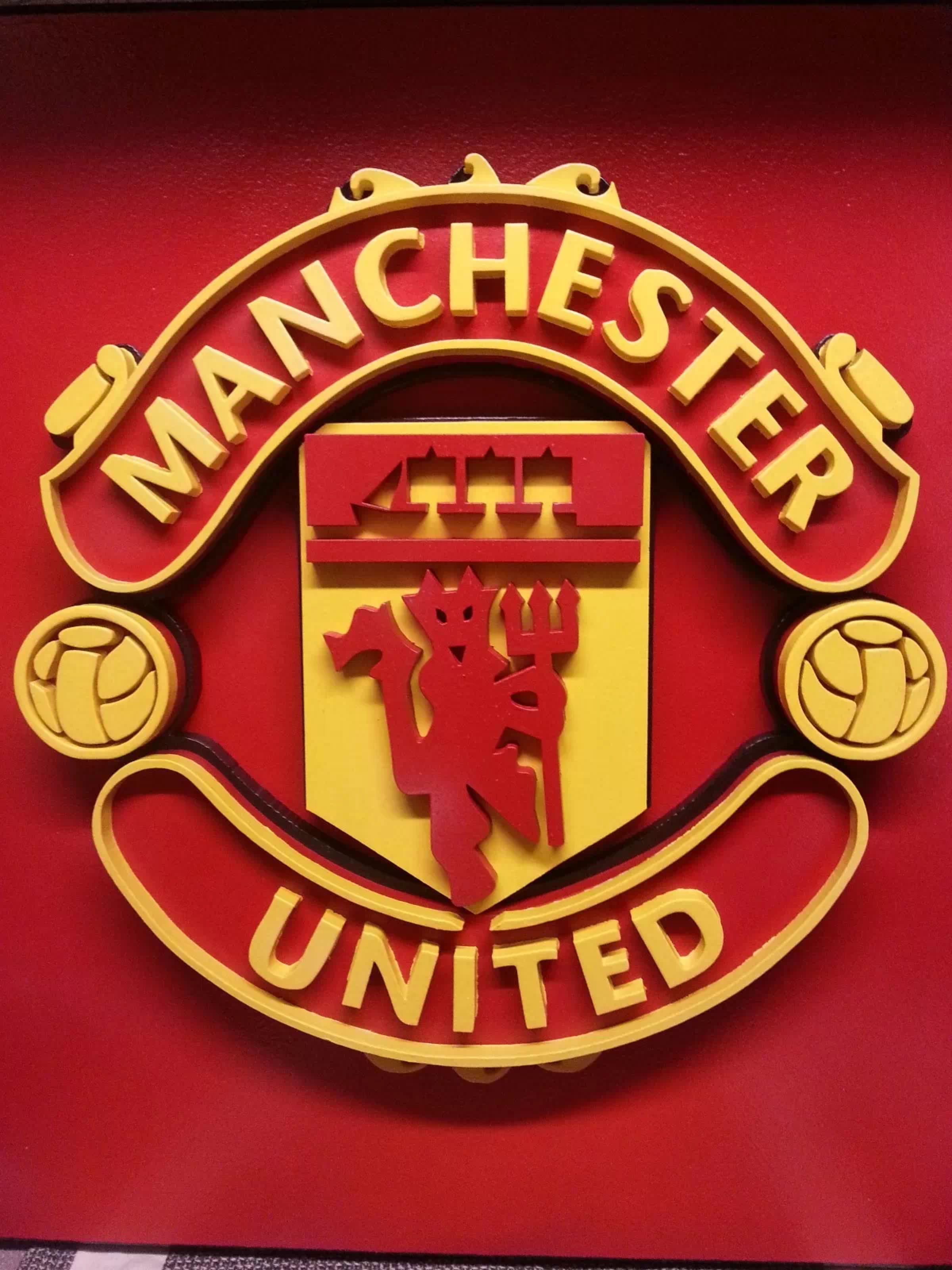 Detail Lambang Man United Nomer 8