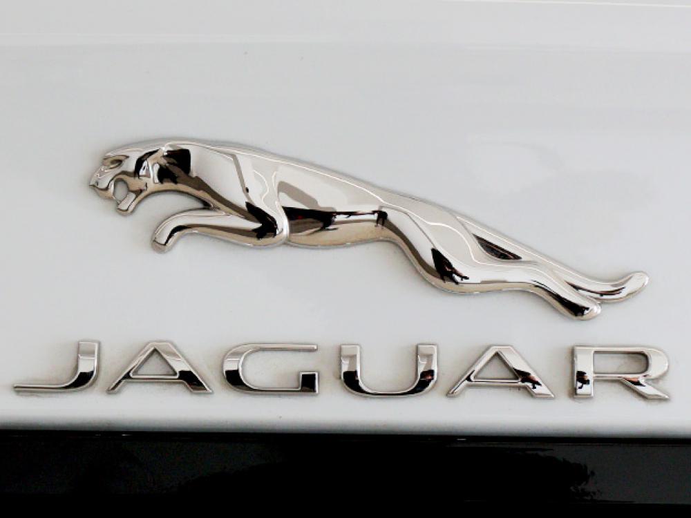 Detail Lambang Mobil Jaguar Nomer 12