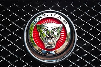 Detail Lambang Mobil Jaguar Nomer 35