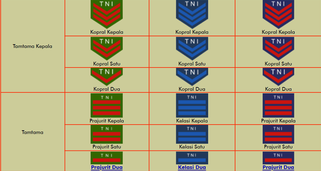 Detail Lambang Pangkat Tentara Nomer 6