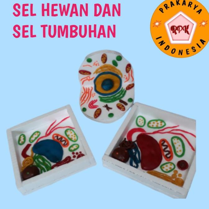 Detail Miniatur Sel Hewan Nomer 55