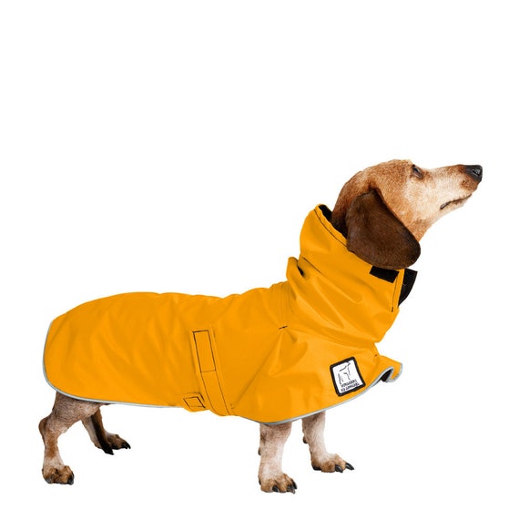 Detail Miniature Dachshund Raincoat Nomer 2