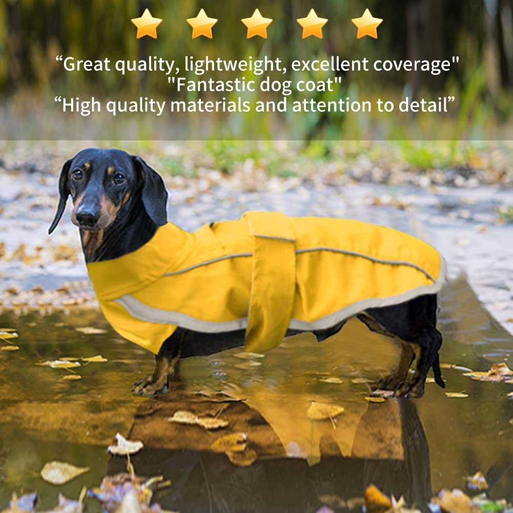 Detail Miniature Dachshund Raincoat Nomer 26