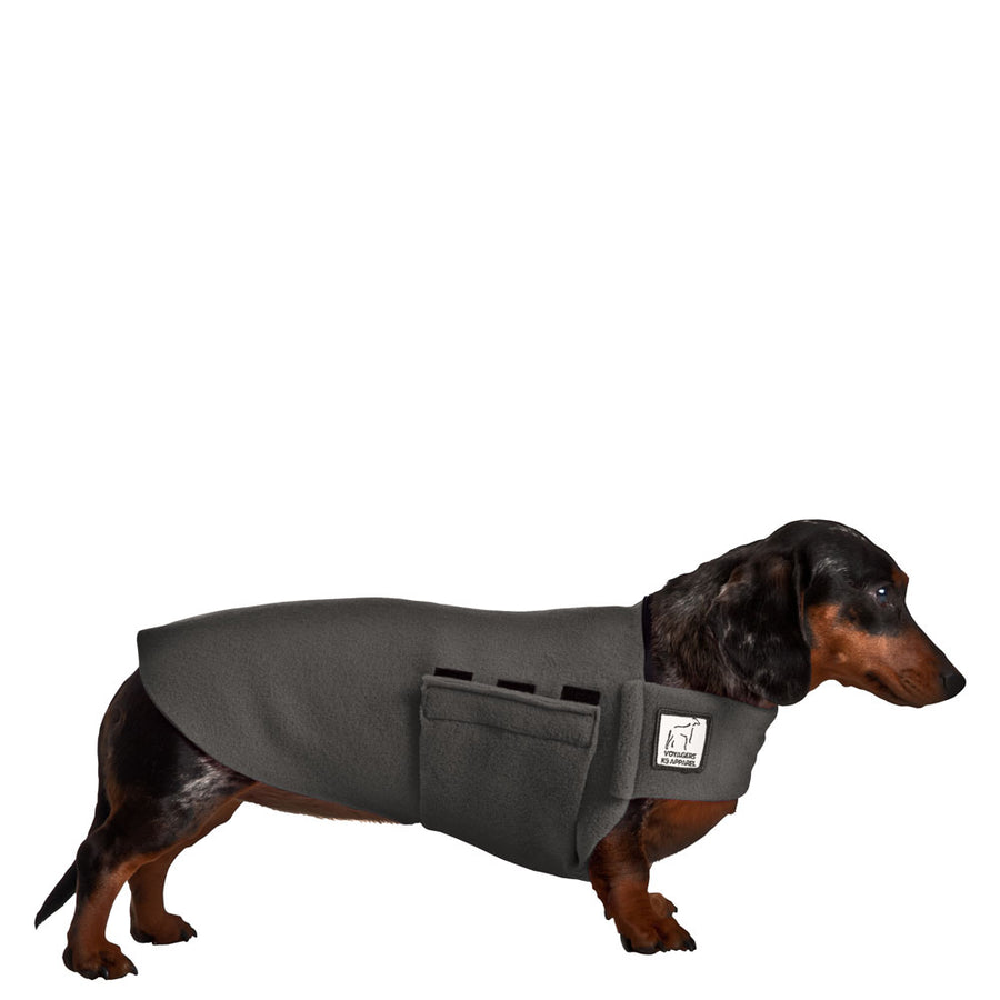 Detail Miniature Dachshund Raincoat Nomer 46