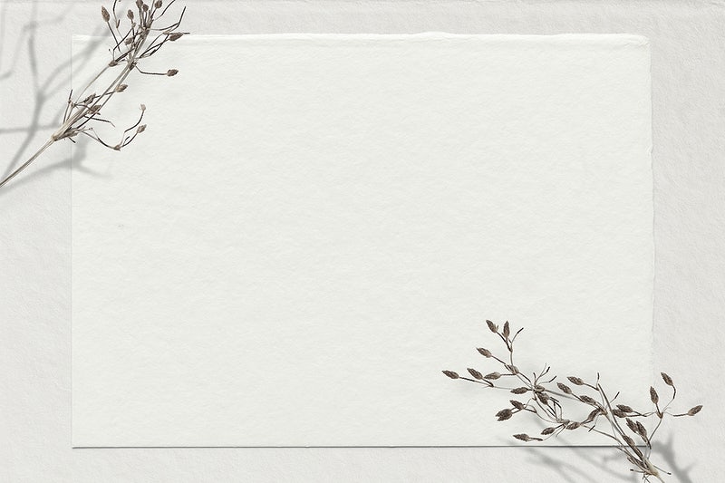 Detail Minimalist White Background Nomer 26