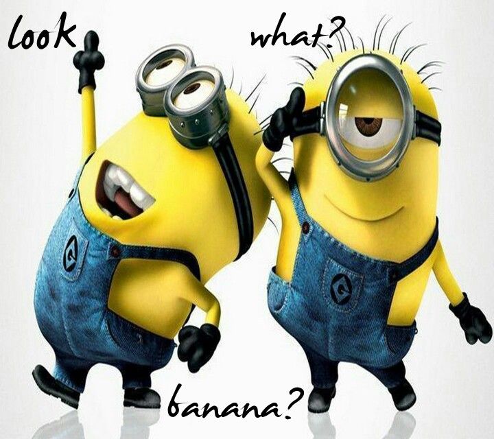 Detail Minion Gallery Nomer 47