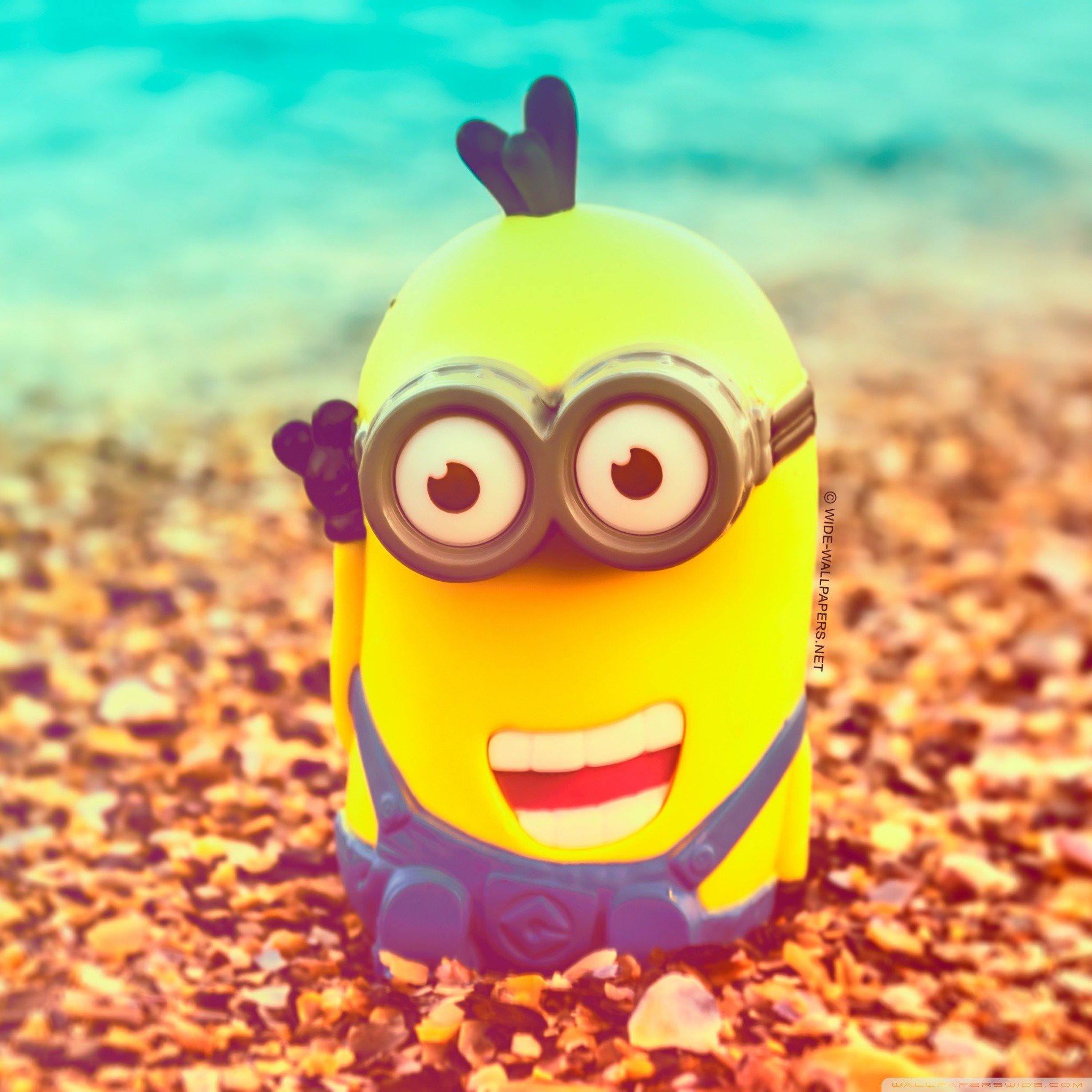 Detail Minion High Resolution Nomer 45