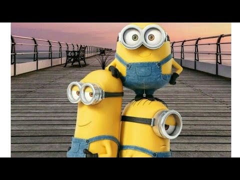 Detail Minion Video Download Nomer 21