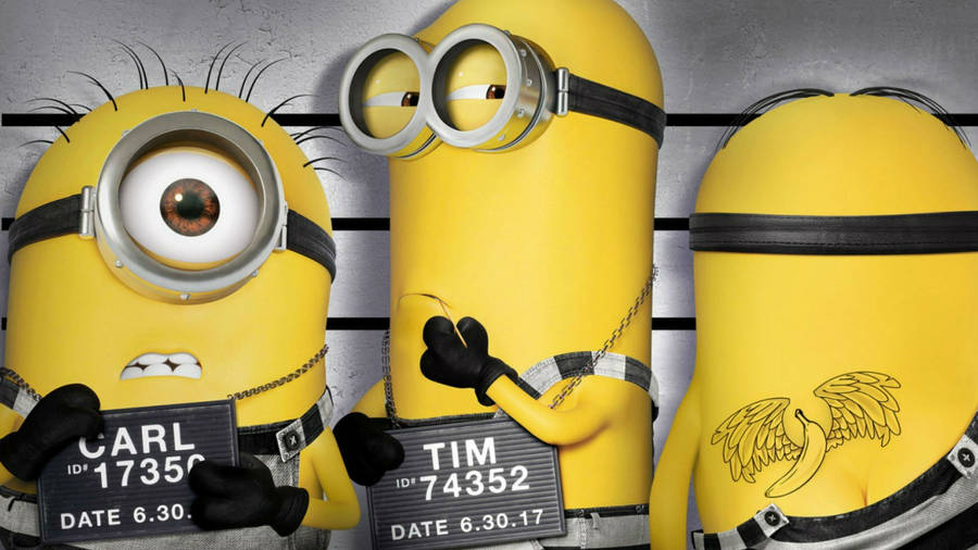 Detail Minions Funny Pics Nomer 52