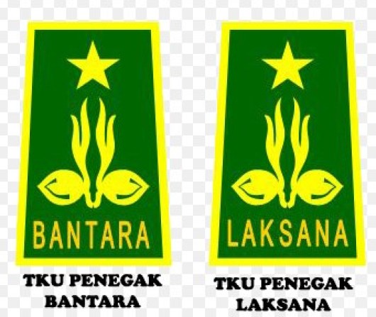 Detail Lambang Pramuka Penegak Nomer 36