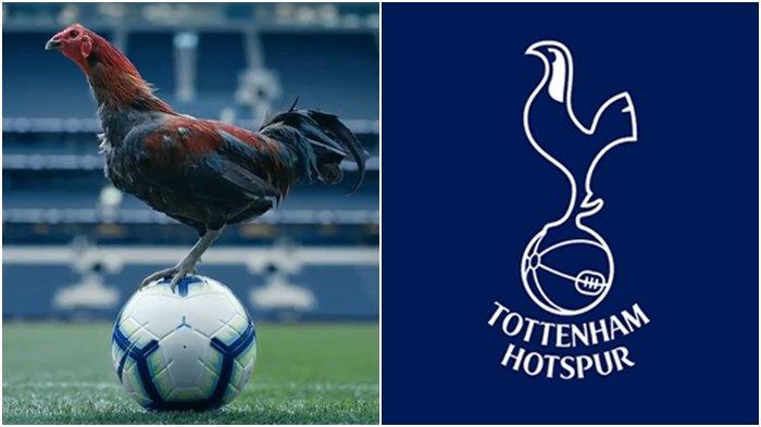 Detail Lambang Tottenham Hotspur Nomer 15