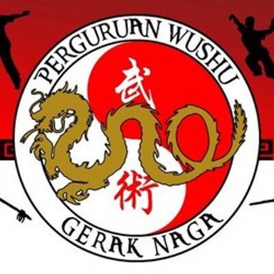 Detail Lambang Wushu Indonesia Nomer 31