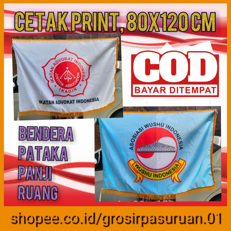 Detail Lambang Wushu Indonesia Nomer 50