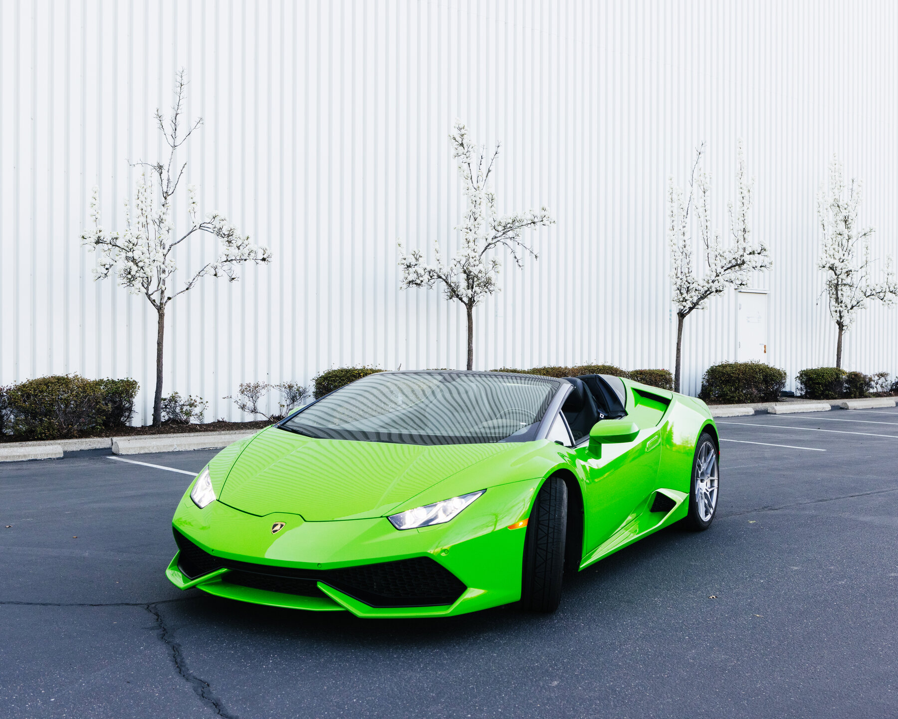 Detail Lamborghini Bread Toaster Nomer 27