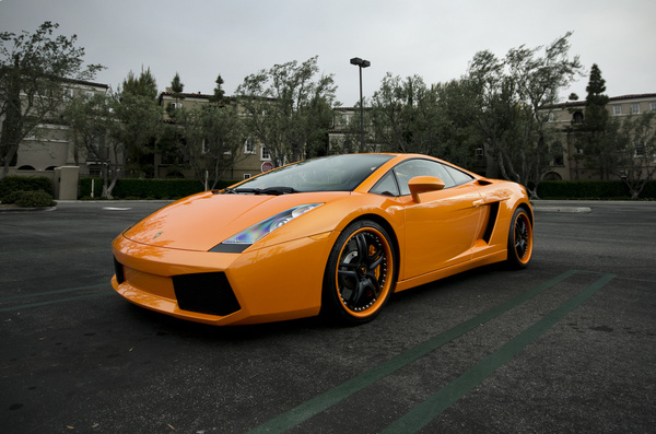 Detail Lamborghini Download Nomer 45