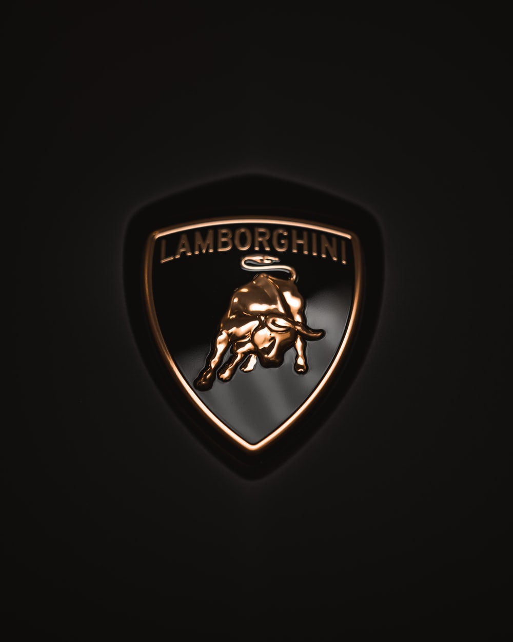 Detail Lamborghini Emblem Images Nomer 20
