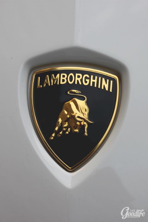 Detail Lamborghini Emblem Images Nomer 42