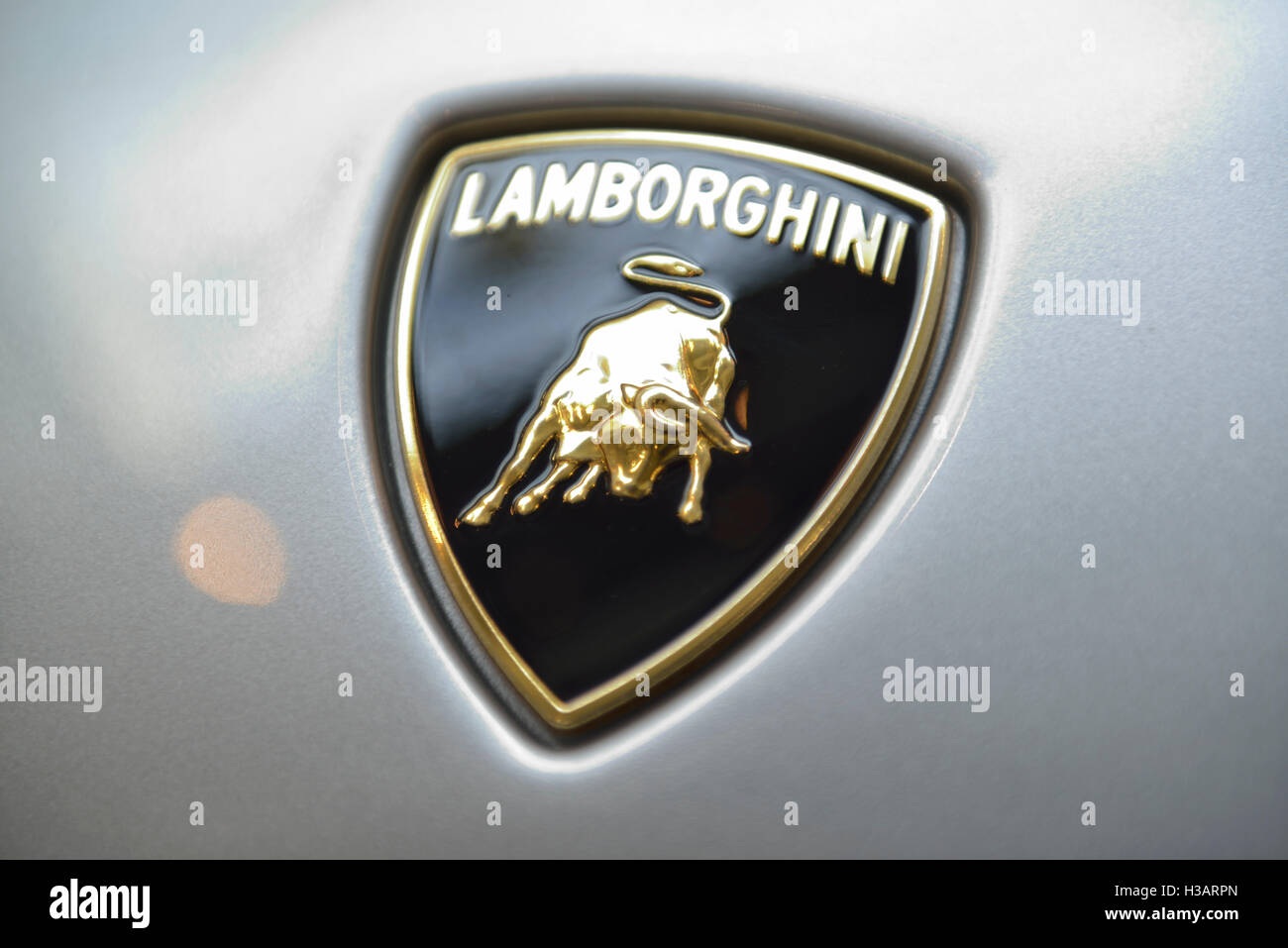 Detail Lamborghini Emblem Images Nomer 45