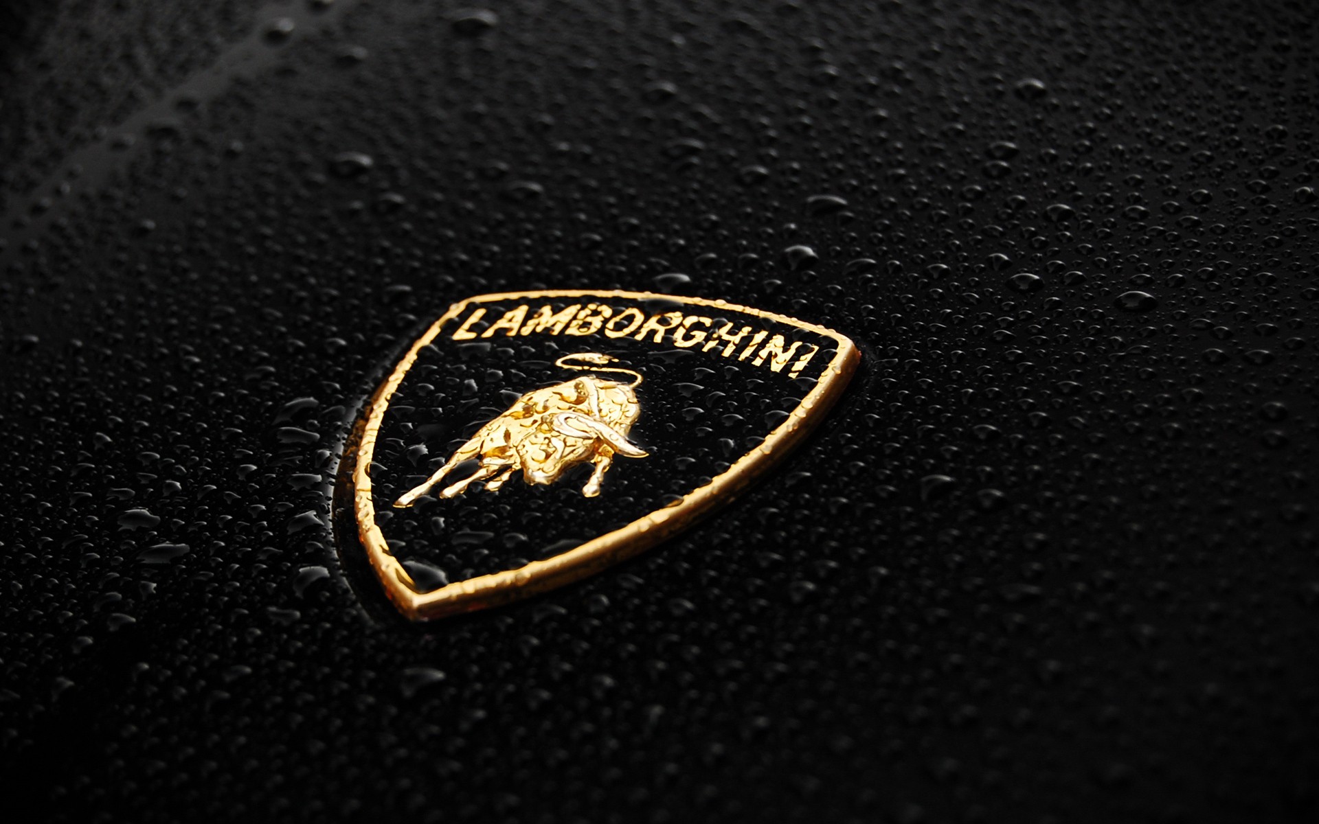 Detail Lamborghini Logo Hd Wallpaper Nomer 13