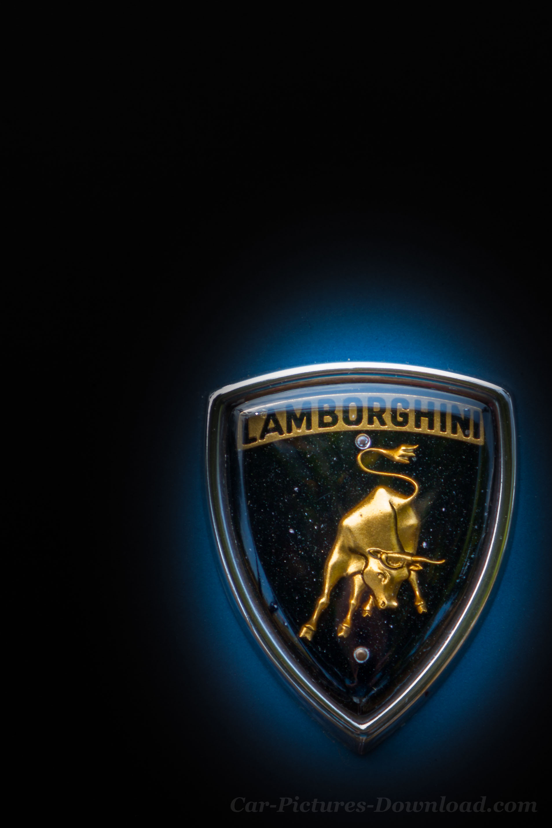 Detail Lamborghini Logo Hd Wallpaper Nomer 19