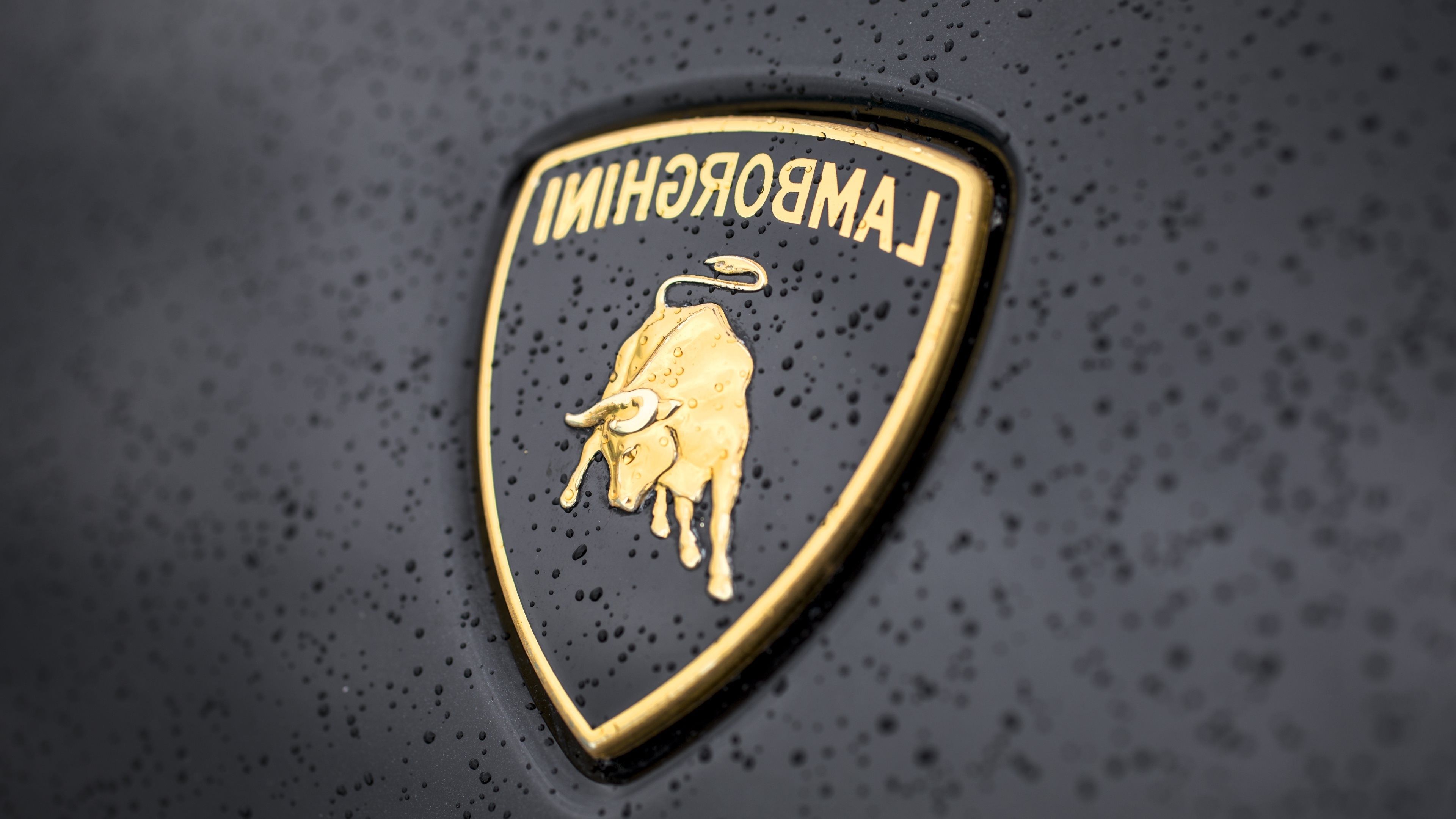 Detail Lamborghini Logo Hd Wallpaper Nomer 34