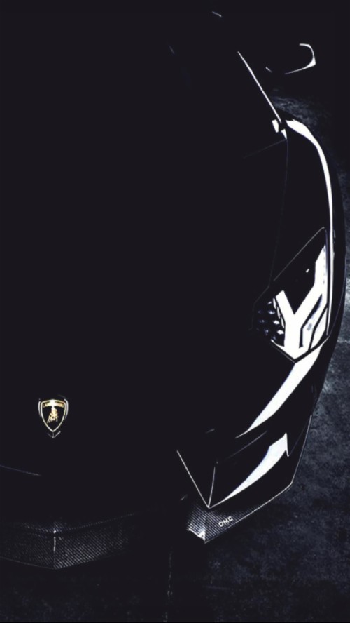 Detail Lamborghini Logo Hd Wallpaper Nomer 40