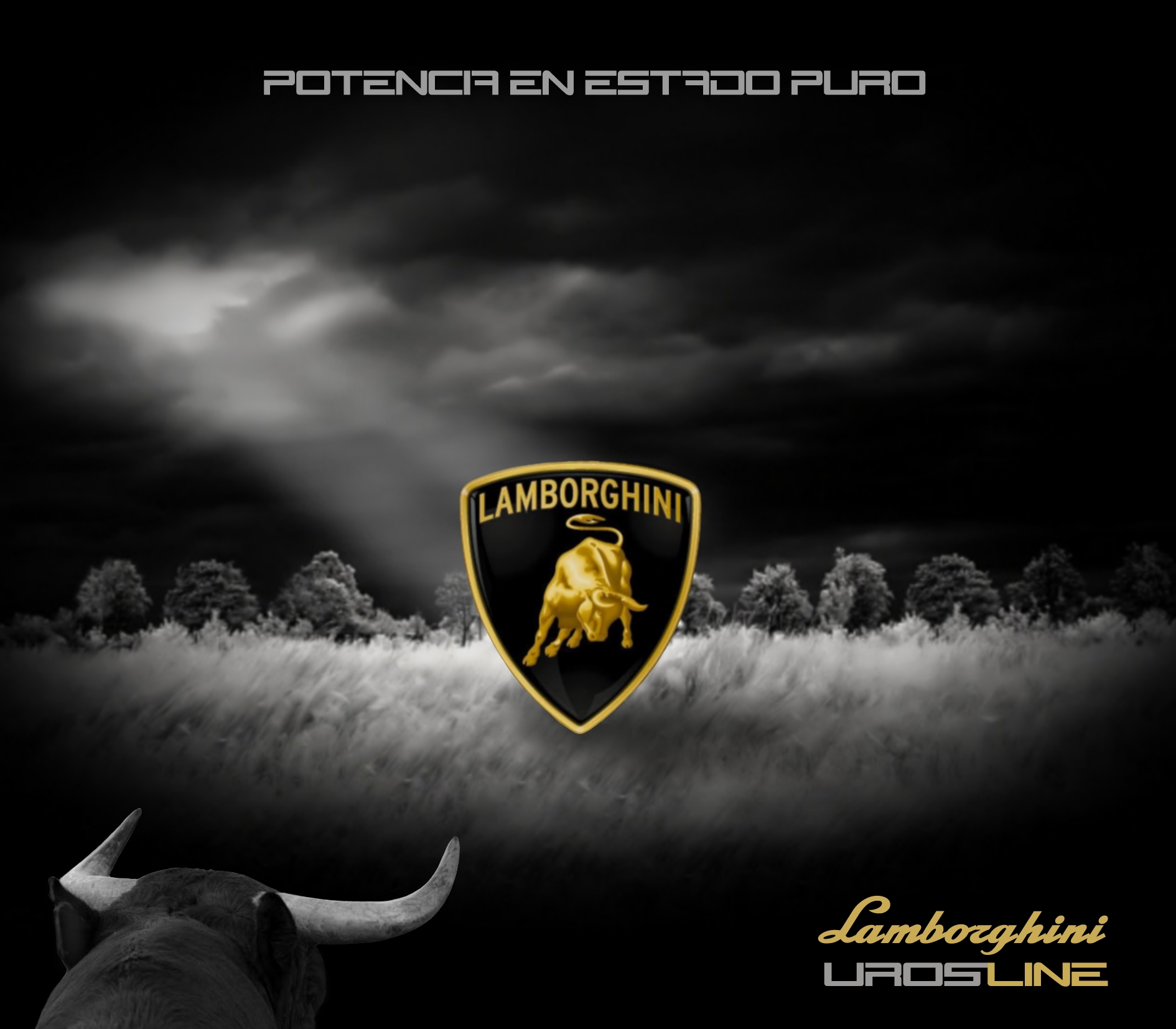 Detail Lamborghini Logo Hd Wallpaper Nomer 46