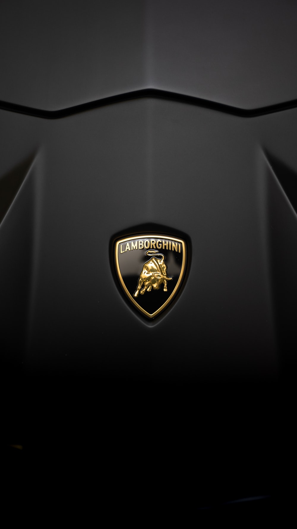 Detail Lamborghini Logo Image Nomer 18