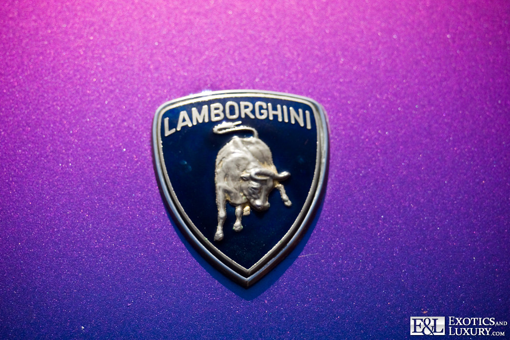 Detail Lamborghini Logo Images Nomer 52