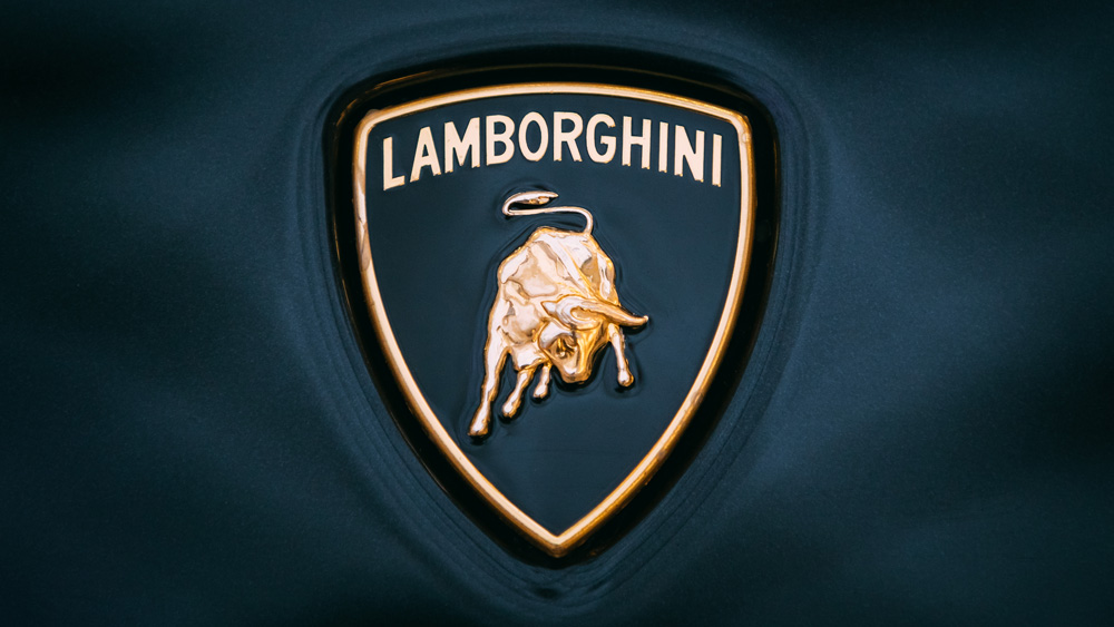 Detail Lamborghini Logo On Car Nomer 3